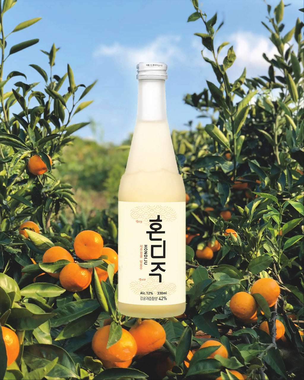 A bottle of Korean citrus wine with a silver cap, surrounded by orange trees with ripe tangerines. Hondiju - Citrus Brewery - cult