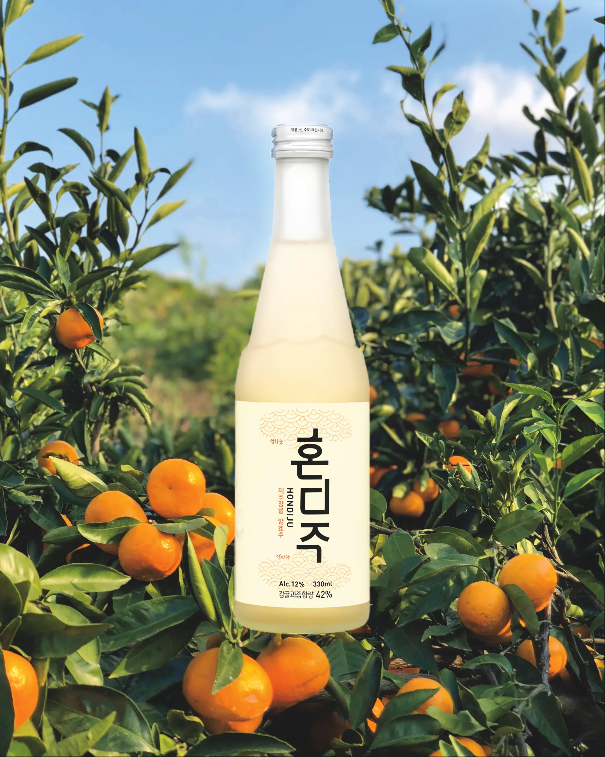 A bottle of Korean citrus wine with a silver cap, surrounded by orange trees with ripe tangerines. Hondiju - Citrus Brewery - cult