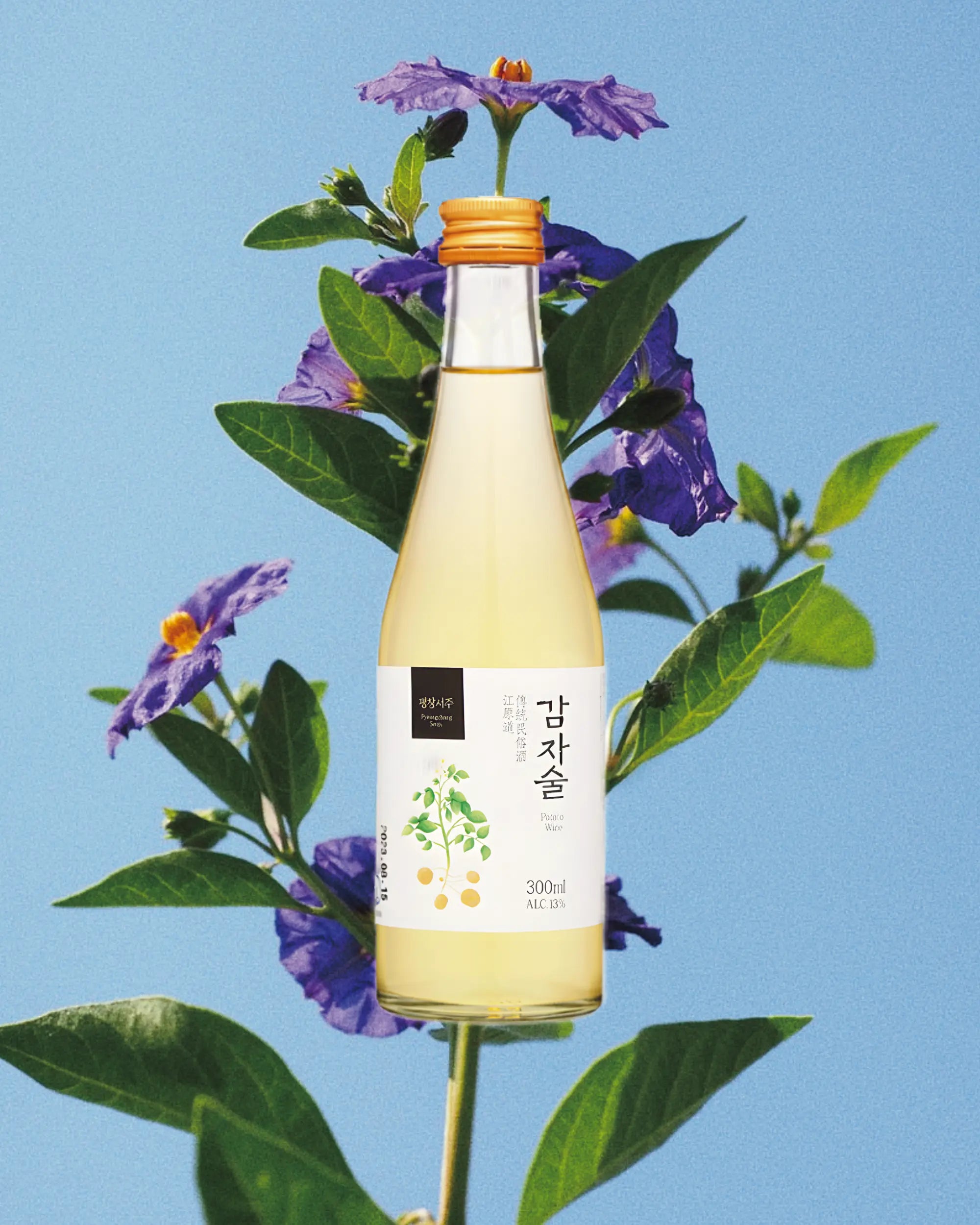 A 300ml glass bottle of Korean rice-and-potato wine with a white label and a gold cap, styled on a stem with purple flowers and green leaves against a solid light blue background. Seoju Gamjasool - Odae Seoju - cult 