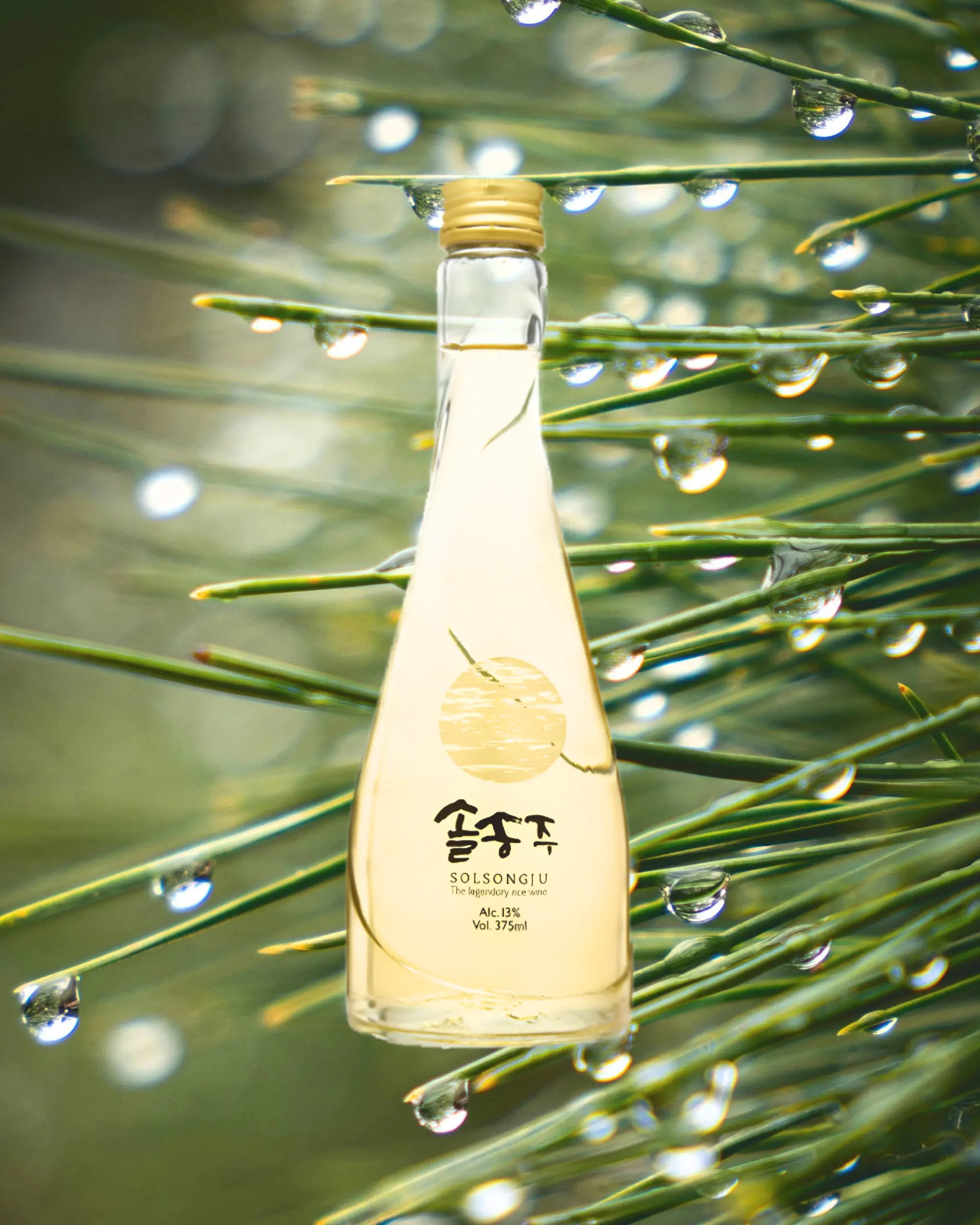 A clear glass bottle of Korean traditional liquor with a gold cap, filled with pale golden liquid, featuring a gold circular graphic and Korean text on the front, on a background of pine needles with sunlit waterdroplets suggesting recent rain.

Solsongju - pine yakju - cultsool