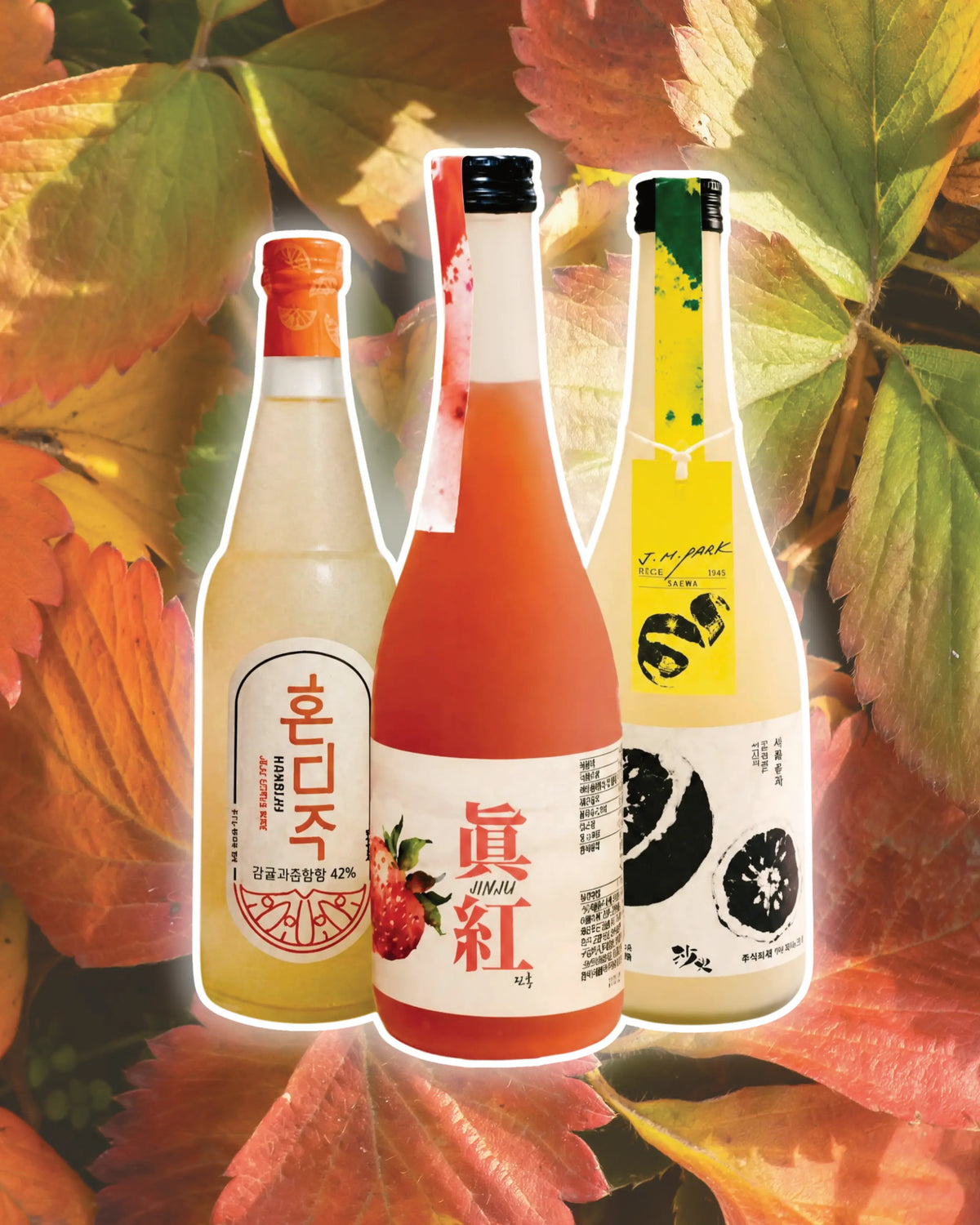 Three bottles of Korean fruit wine  are arranged against a background of autumn leaves. The center bottle is filled with a pinkish-red liquid and has a white label with red text and a strawberry graphic.