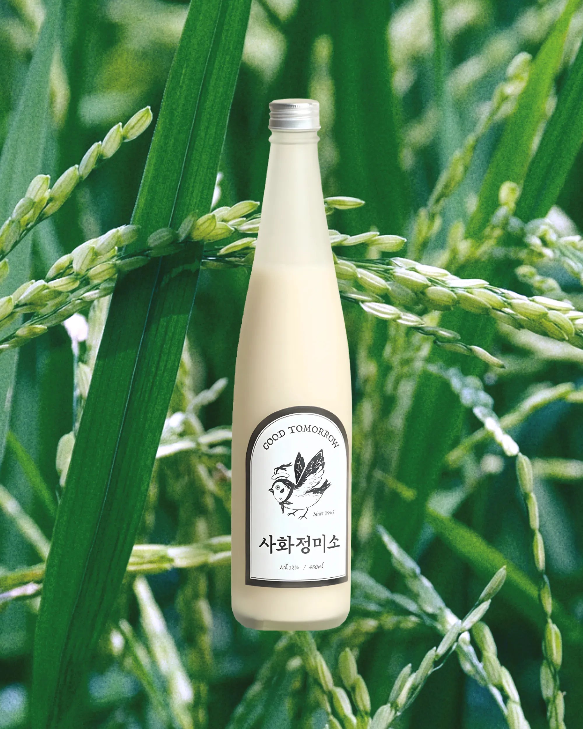 A bottle of Korean rice wine (makgeolli) with a cream-colored liquid, set against a background of green rice stalks. The bottle features a white label with black text and a bird illustration, and the brand 'GOOD TOMORROW' is visible on the label.

Sahwajeongmiso Makgeolli - Good Tomorrow Brewery - cultsool